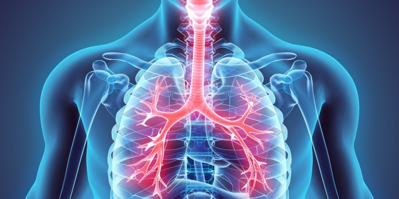 Væske i lungerne (Lungeødem) |